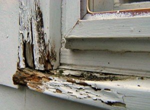 When Is it Time to Replace Your Windows?